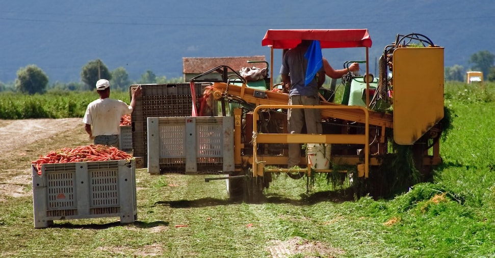 Traffico di visti Italia-Bangladesh, due condannati: avevano cercato di corrompere un deputato Traffico di visti Italia-Bangladesh, due condannati: avevano cercato di corrompere un deputato