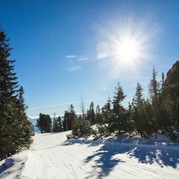 immagine non disponibile