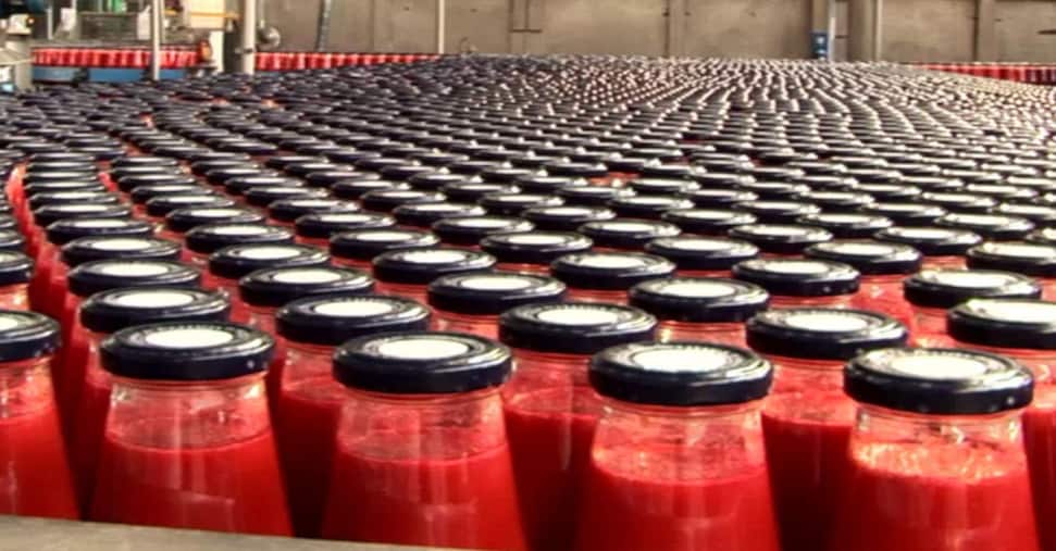 Un fiume di pomodoro dall’Egitto mette a rischio la filiera italiana (da 5,5 miliardi)