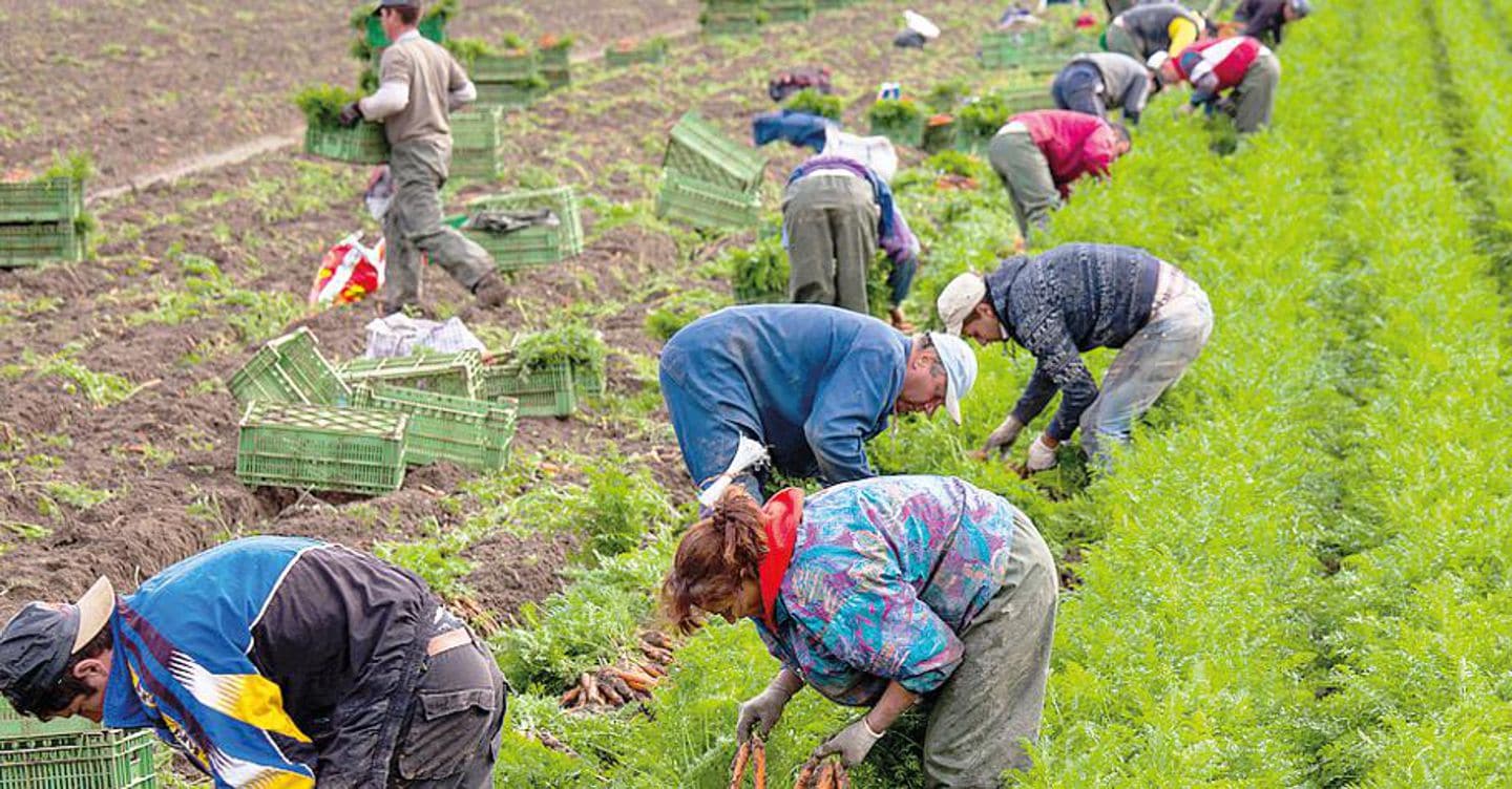 https://i2.res.24o.it/images2010/S24/Documenti/2026/02/19/Immagini/Ritagli/caporalato-U73578477670TYQ-1440x752@IlSole24Ore-Web.jpg