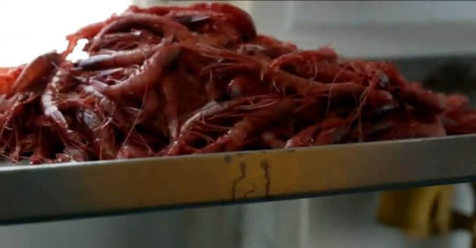 Da Mazara a Manhattan: il Distretto della pesca apre a New York