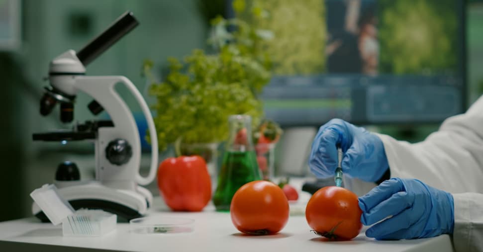 Novel food, progetto di ricerca europeo per creare cibi proteici da funghi, batteri, insetti e alghe