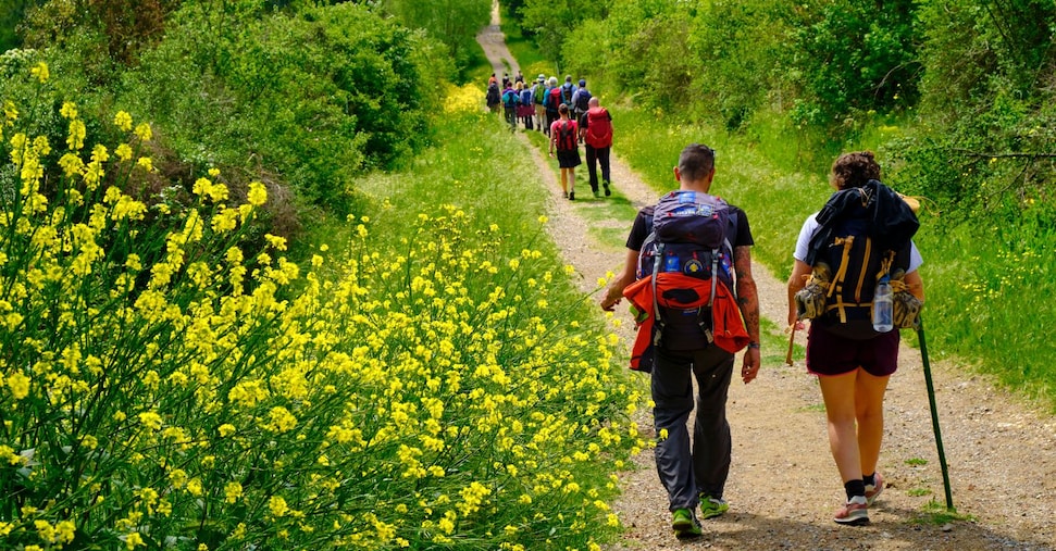 Cammini, la spinta del Giubileo per la via Francigena: +34% di credenziali e giro d’affari di 25 milioni Cammini, la spinta del Giubileo per la via Francigena: +34% di credenziali e giro d’affari di 25 milioni