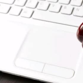 immagine non disponibile