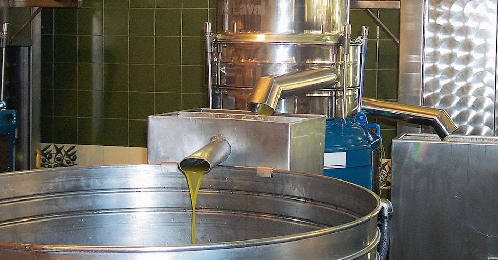 Dalle passeggiate negli uliveti alle degustazioni: il turismo dell’olio segna in Italia +37%