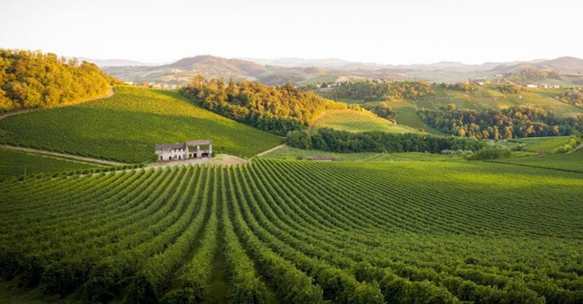 Vigneti dell’Oltrepò Pavese