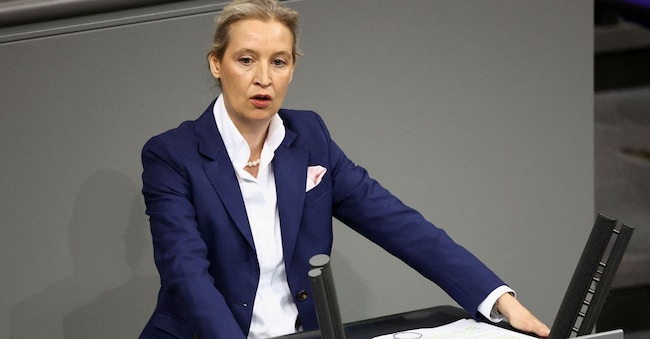 La co-leader di Afd, Alice Weidel (REUTERS)
