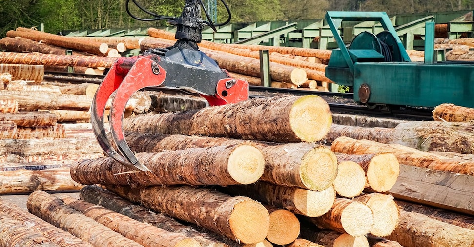Nuove tensioni sui prezzi del legno. Per gli imballaggi, fino a +18% in un anno Nuove tensioni sui prezzi del legno. Per gli imballaggi, fino a +18% in un anno
