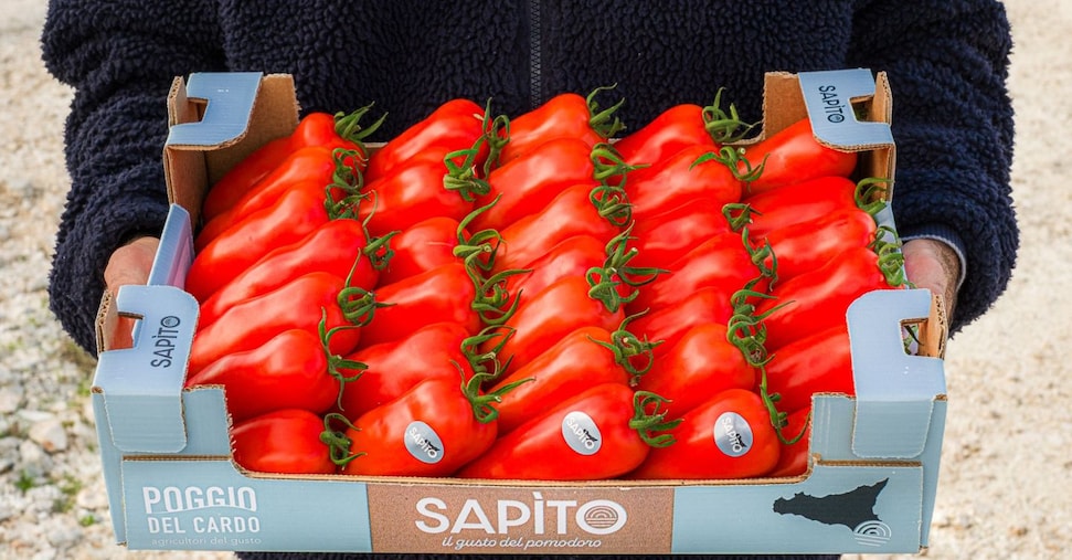 Ortofrutta, così la Sicilia punta a uscire dalla trappola della commodity