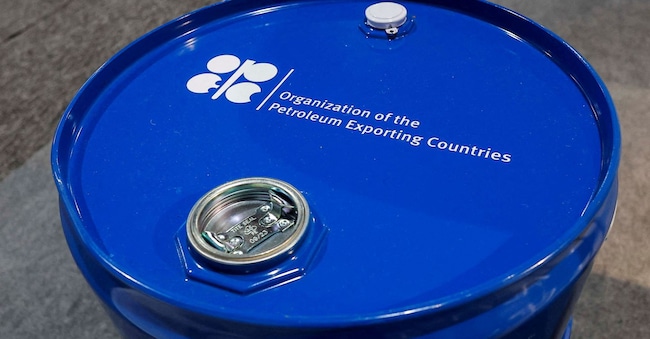 Un'installazione raffigurante un barile di petrolio con il logo dell'Organizzazione dei Paesi Esportatori di Petrolio (OPEC) durante la conferenza delle Nazioni Unite sui cambiamenti climatici COP29 a Baku, Azerbaigian, 19 novembre 2024. REUTERS/Maxim Shemetov/Foto d'archivio
