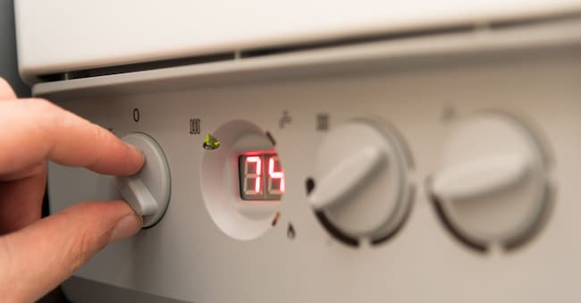 (AdobeStock) Stephen Davies - stock.adobe.com