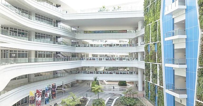 Le living walls agiscono da barriera contro il rumore e sono perciò un antidoto efficace contro l’inquinamento acustico