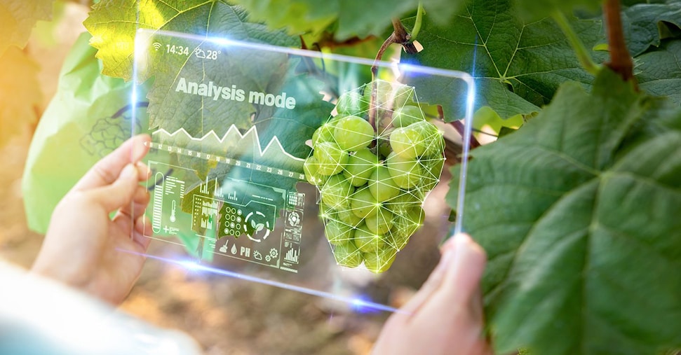 Nel 45% delle aziende agricole donne in posizioni apicali