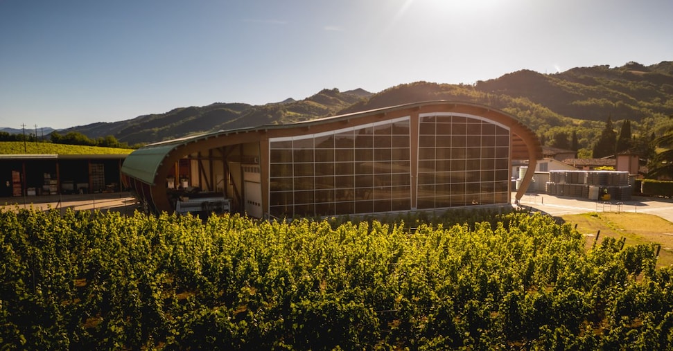 Vino, Argea resiste ai dazi e investe su un impianto per i dealcolati