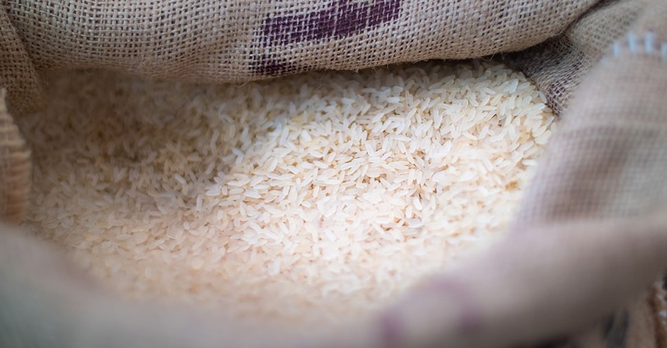 Riso, dimezzati i prezzi del chicco lungo: colpa dei dazi a zero