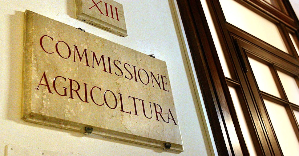 Divieto di macellazione per i cavalli, tempi lunghi per l’esame alla Camera