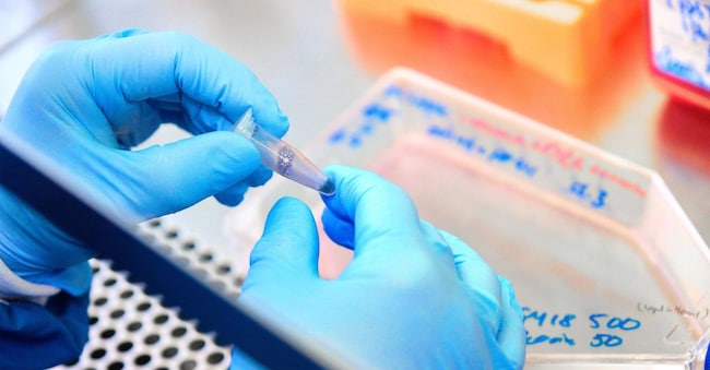 Foto: Zealand Pharma