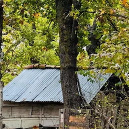 immagine non disponibile