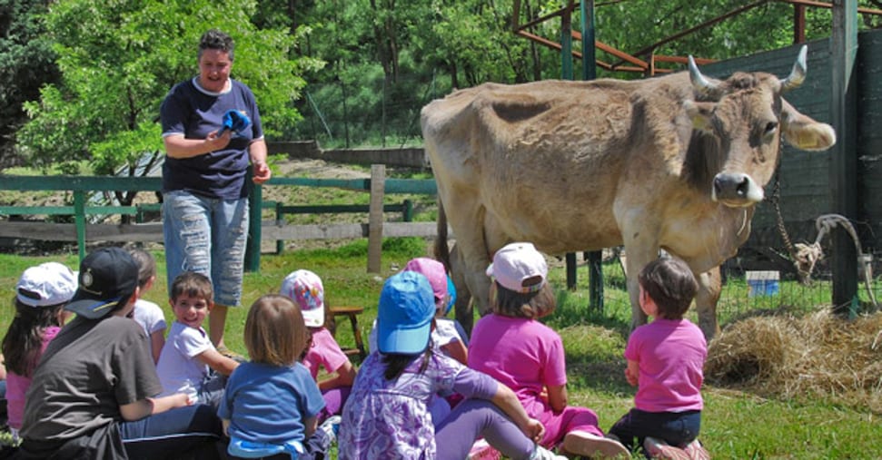 Agriturismo educativo: crescono le fattorie didattiche
