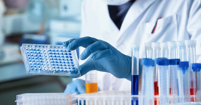 Researcher working with microplate panel for diseases diagnosis in the laboratory. Doctor working with microplate for elisa analysis angellodeco - stock.adobe.com