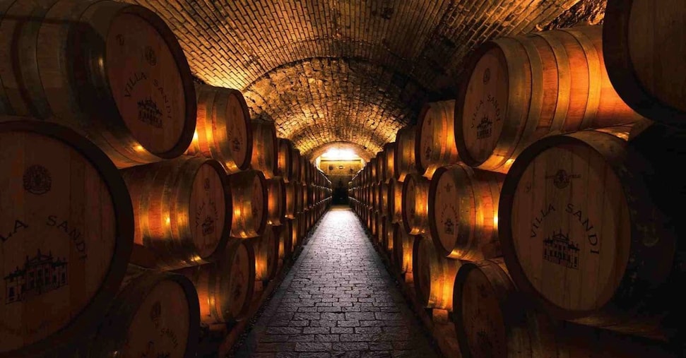 Export di vino, nessun miracolo nel 2025: -3,7% in valore e -1,9% in volume. Negli Usa persi 170 milioni