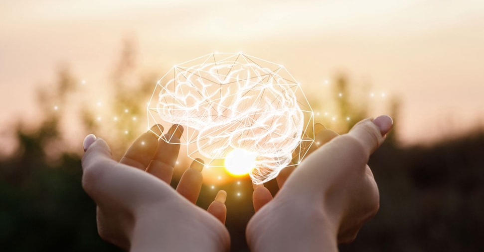 Se manca il sonno il cervello si “protegge”:  dopo una notte insonne non ci concentriamo