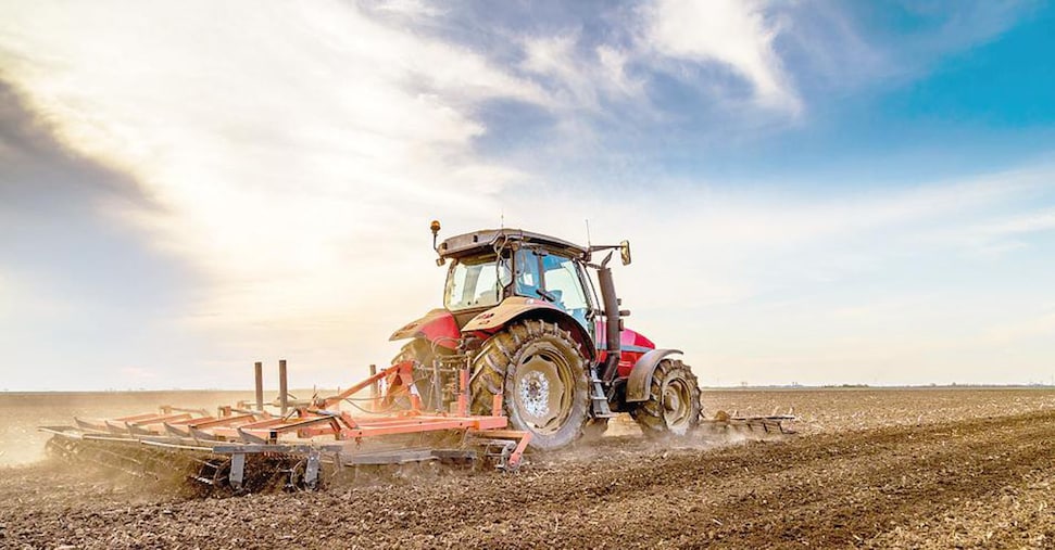 Grano duro, i contratti di filiera accelerano: nel 2026 potrebbero coprire un terzo dei campi coltivati