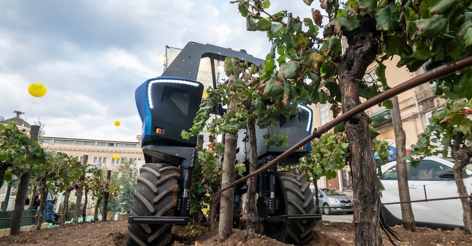 Aziende agricole under 35 in flessione ma resilienti e attive negli investimenti innovativi