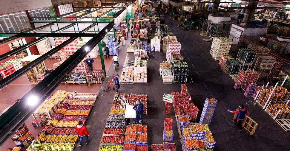 Sogemi, l’attesa di ricavi in crescita dopo gli investimenti