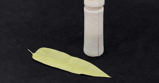 Antone LIU, “Fragile Beauty”, 2026, dettaglio, Courtesy Linseed