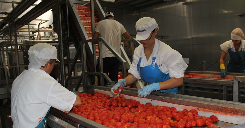 Alimentare, lavoratori più solidali e disposti a 2 ore di volontariato a settimana