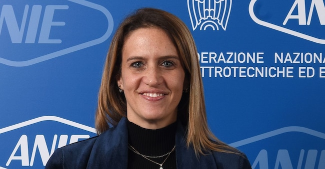 Ludovica Zigon, vicepresidente Anie