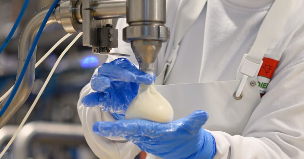 Gioiella, produzione di burrate ancora in crescita: ricavi verso i 230 milioni