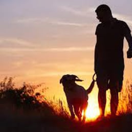 lawyer lawsuit notary consultation or discussing negotiation legal case with document contract women entrepreneurs in the office.