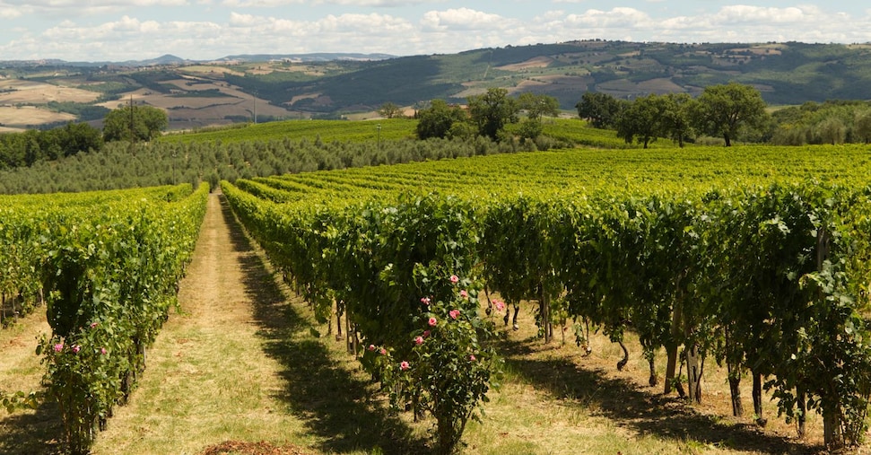Enpaia, primo bilancio sociale e un osservatorio al via con la Luiss su finanza e agricoltura