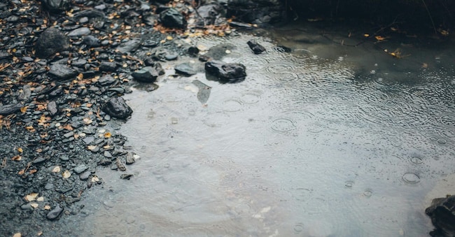 Credits: Elina Sazonova (Pexels)