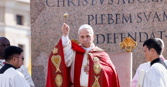 Papa Leone XIV celebra la messa nella domenica delle Palme a piazza San Pietro  (Remo Casilli/Pool Photo via AP) APN