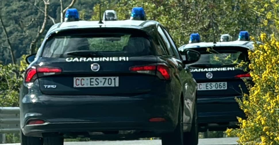 Progettava strage a scuola, arrestato 17enne con simpatie neonaziste Progettava strage a scuola, arrestato 17enne con simpatie neonaziste