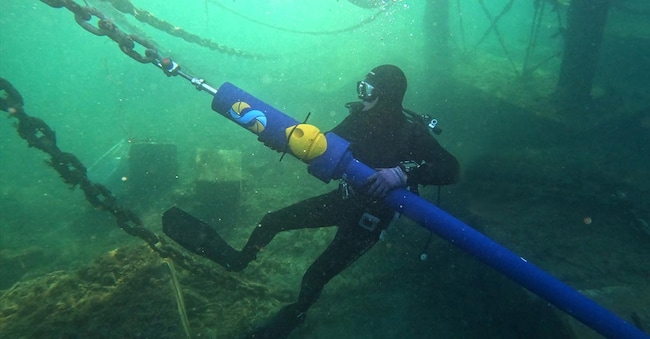Installazione subacquea del sistema di ormeggio a Marina Cala dei Sardi