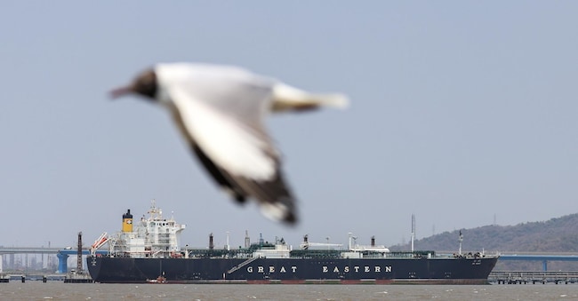 epa12864067 La nave battente bandiera indiana «Jag Vasant», che trasporta gas di petrolio liquefatto (GPL) attraverso lo Stretto di Hormuz, arriva al porto di Mumbai, in India, il 1° aprile 2026. Il blocco delle spedizioni dal Golfo, causato dall’escalation dei conflitti in Medio Oriente, sta provocando gravi interruzioni nell’approvvigionamento di GPL in tutto il Paese.  EPA/DIVYAKANT SOLANKI EPA