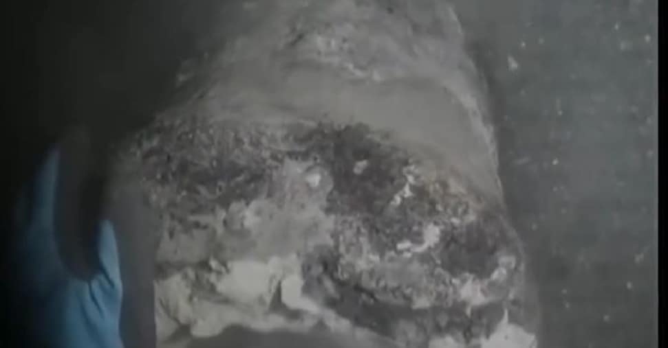 Ritrovato relitto di nave da guerra affondata da Nelson in Danimarca