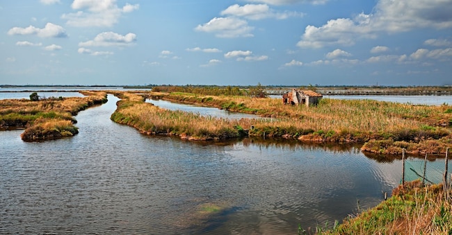 Paesaggio del Parco del Delta del Po a Rosolina, Rovigo, Veneto. (Adobe Stock)