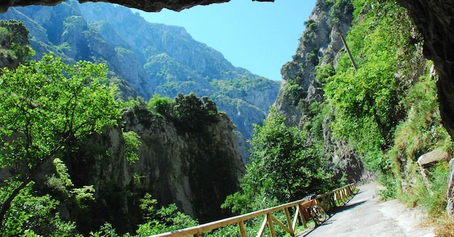 Asturie. Via Verde Senda del Oso Ente Spagnolo del Turismo-Turespanna