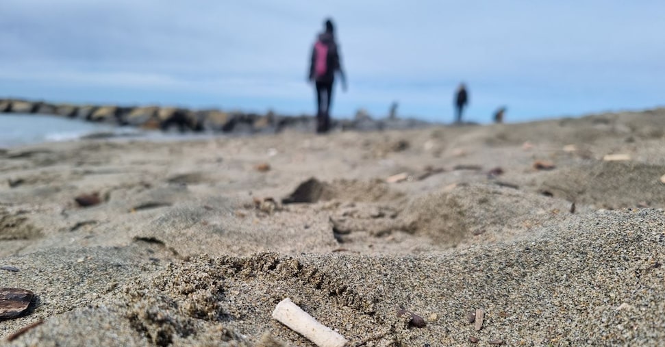 Legambiente: nelle spiagge raccolti 77 mozziconi di sigaretta ogni 100 metri Legambiente: nelle spiagge raccolti 77 mozziconi di sigaretta ogni 100 metri