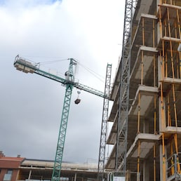  uzkiland - stock.adobe.com