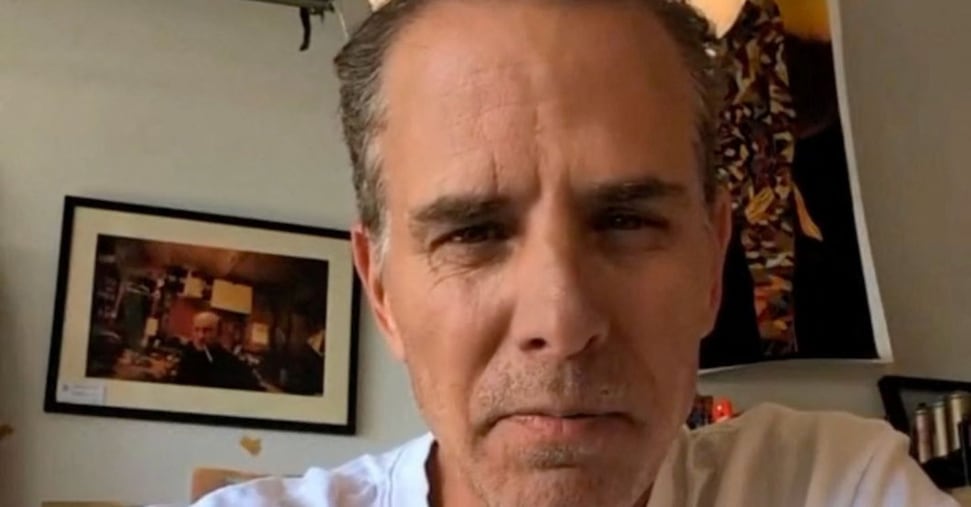 Hunter Biden sfida i figli di Trump a un incontro di arti marziali