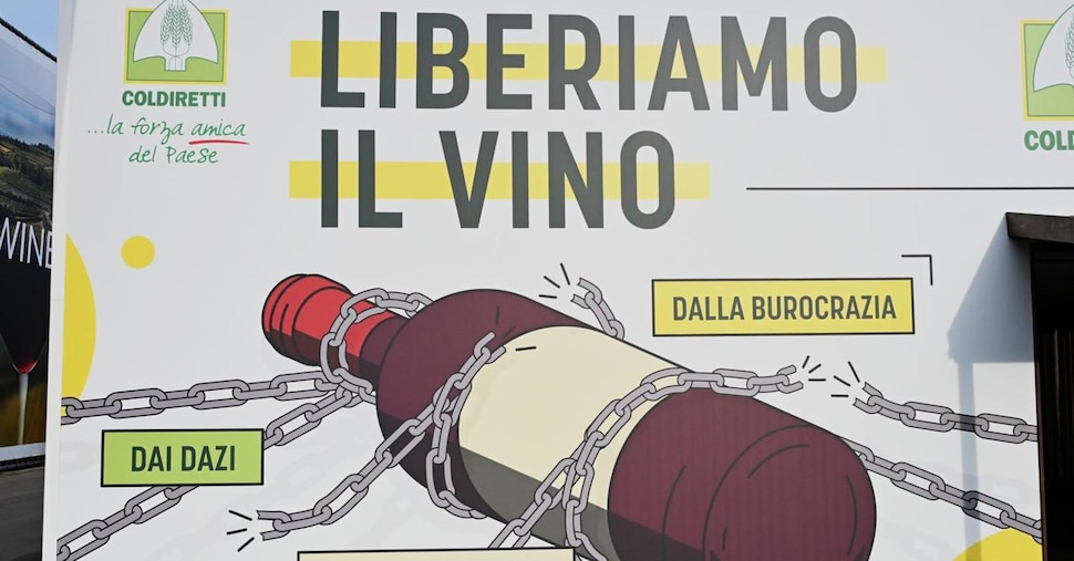 Vinitaly: dai tagli alla burocrazia risparmi per 1,6 miliardi