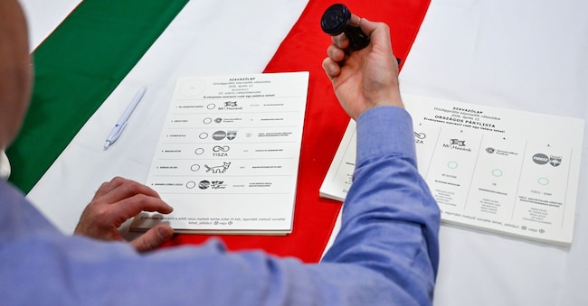 Un funzionario elettorale prepara una scheda elettorale in un seggio elettorale a Budapest, in Ungheria, domenica 12 aprile 2026. (Foto AP/Denes Erdos) APN