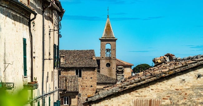 Ostra (FrancoSimoncini)