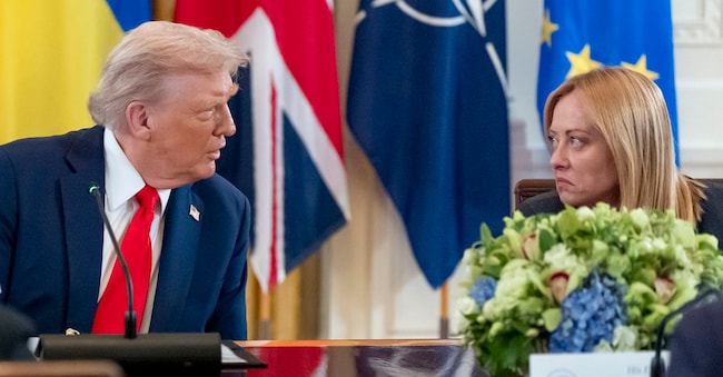Donald Trump e Giorgia Meloni  (AP Photo/Alex Brandon)